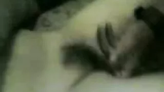 Jovem aberração lamb ...