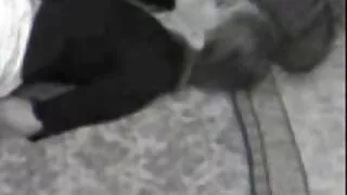 Garotas sujas brinca ...
