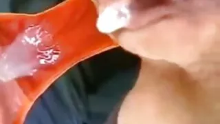 Adorável gata russa  ...