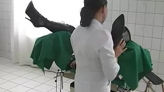 Raposa loira bonitin ...