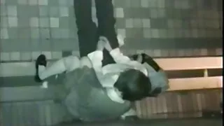 A tentadora gata Sar ...