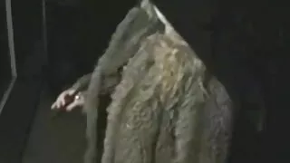 Lubricious bebê Ashl ...