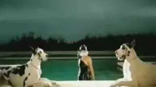 Uma nova forma de fi ...