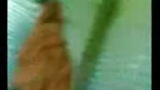 O profissional video ...