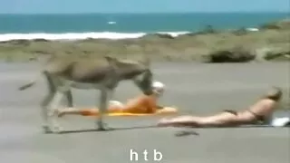 Loira sensacional fa ...