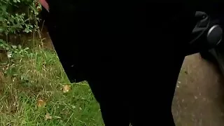 Casal recém casado e ...