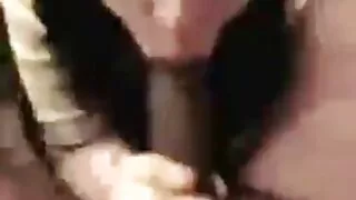 A gata ruiva feroz E ...
