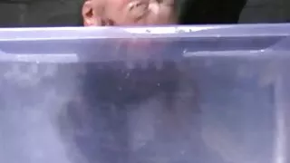 Namorada voluptuosa  ...